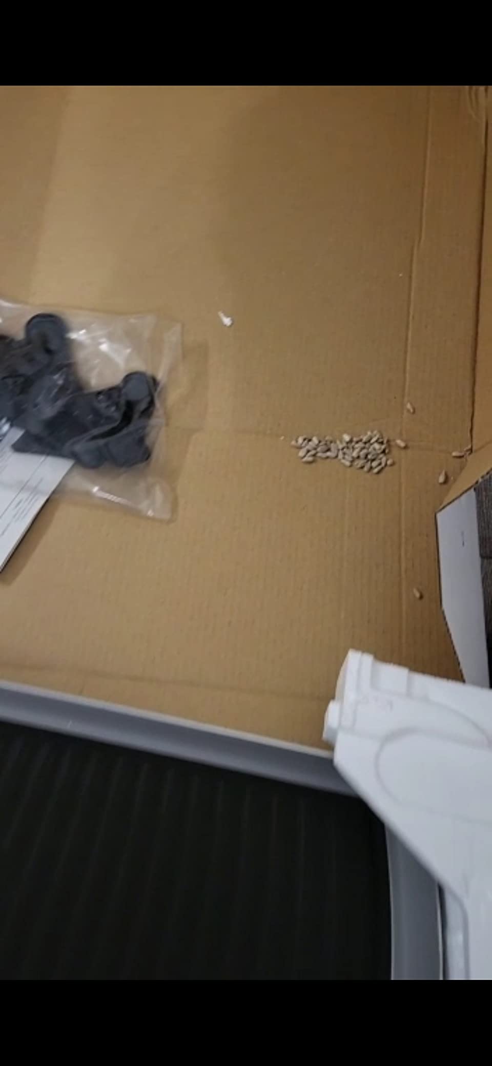 Sehr gutes Gerät, Kabel etwas kurz