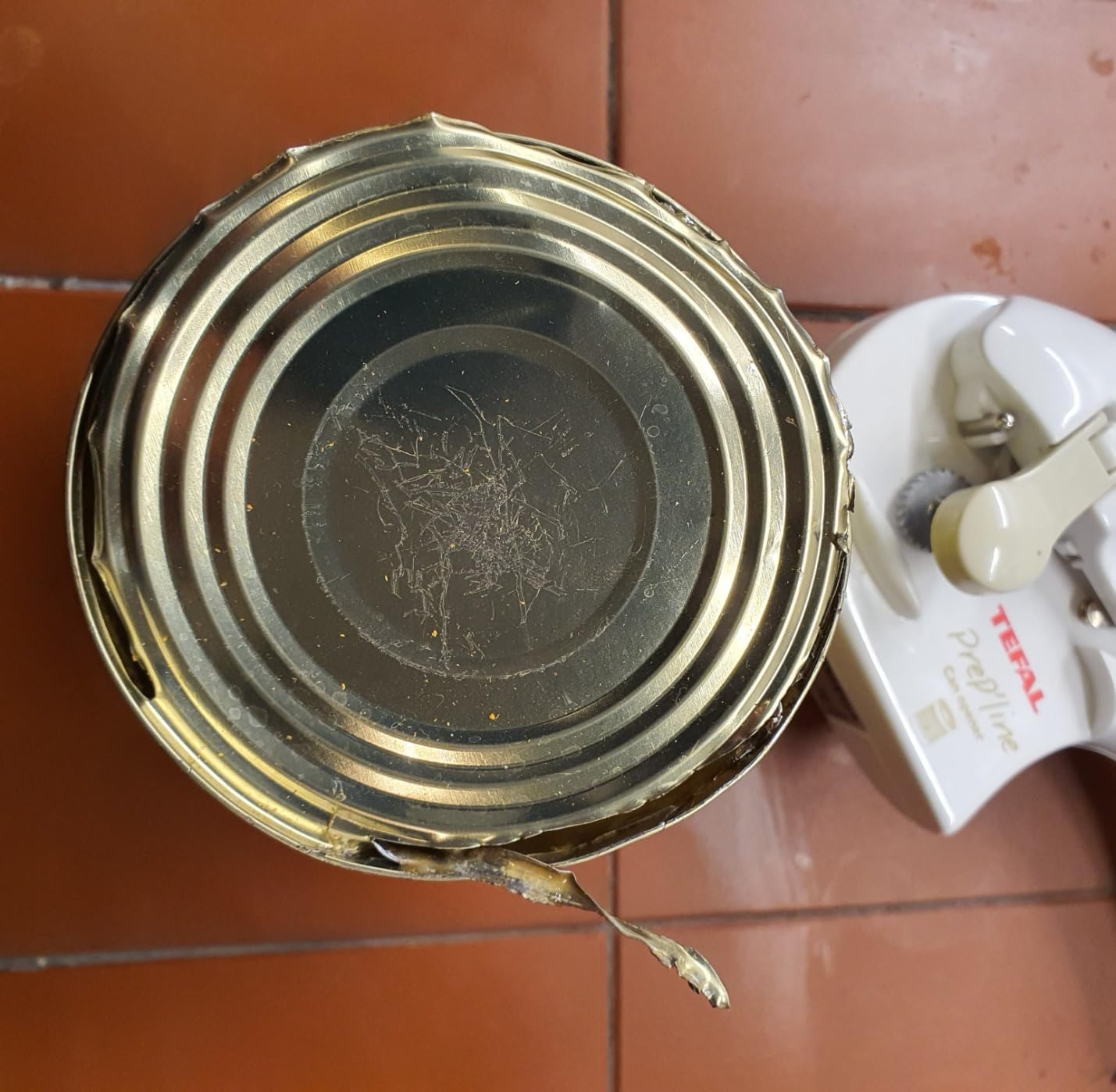 Kleine Helferin, große Wirkung
