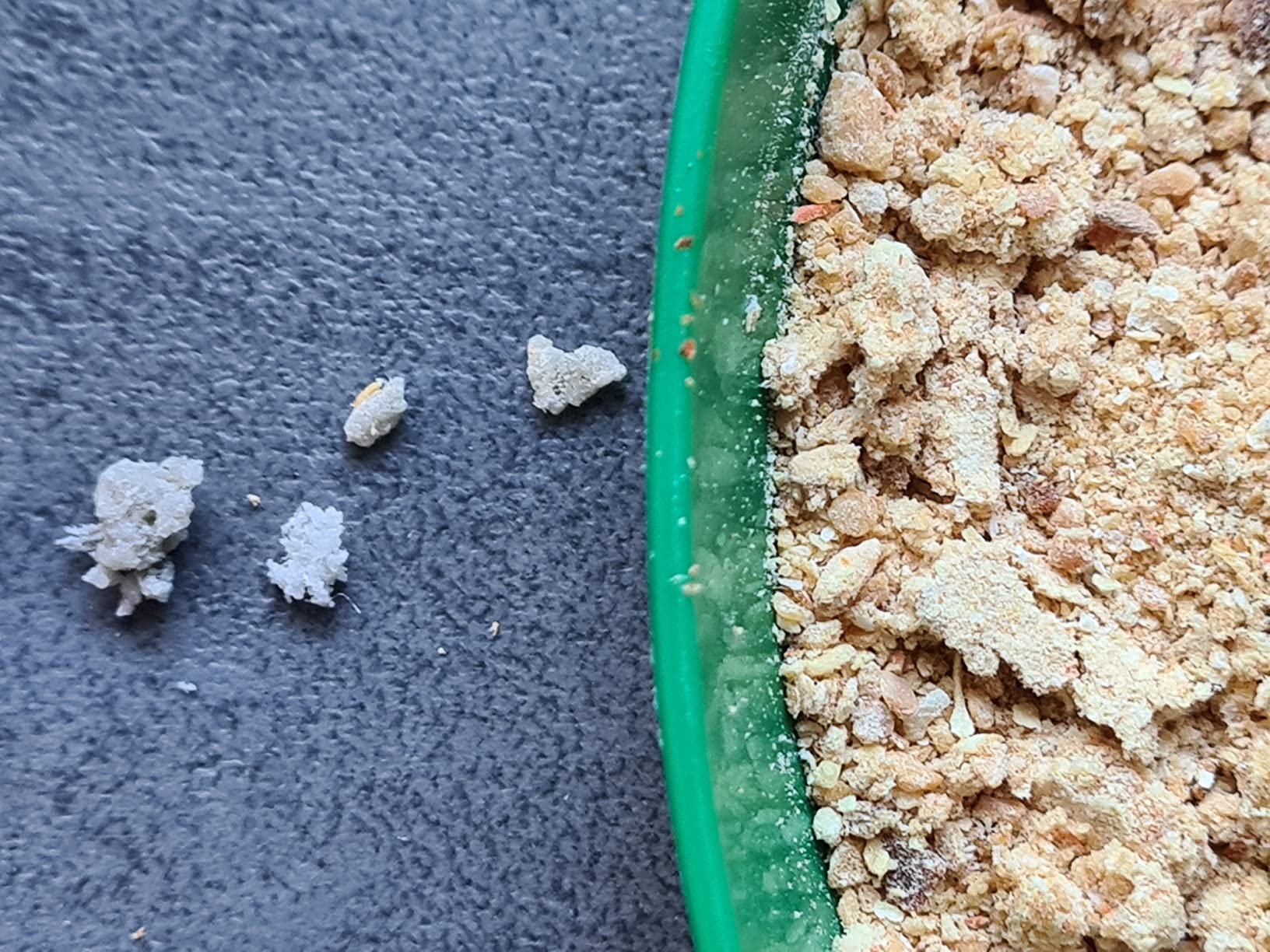 Zwiebeln ohne Tränen